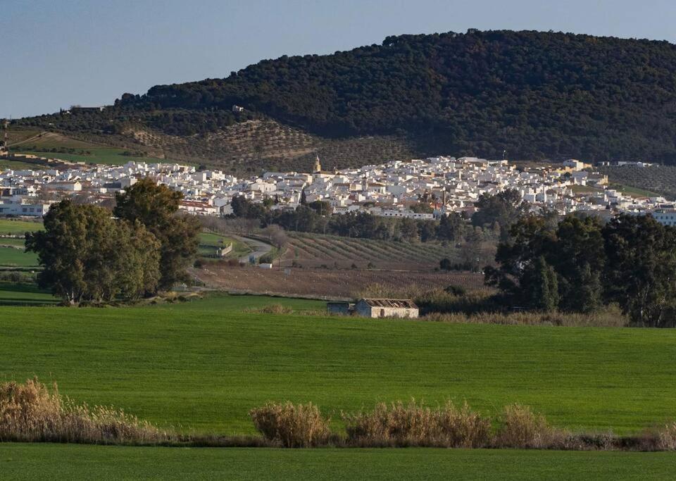 Vila Ranchito De Alhucemas,Piscina Privada Y Barbacoa Montellano Exteriér fotografie